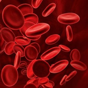 blodd-cells-1