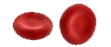 blood-cells